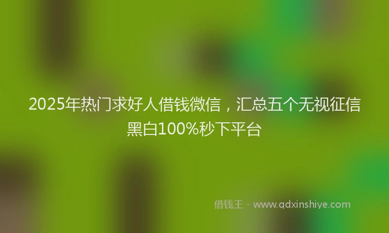 2025年热门求好人借钱微信，汇总五个无视征信黑白100%秒下平台