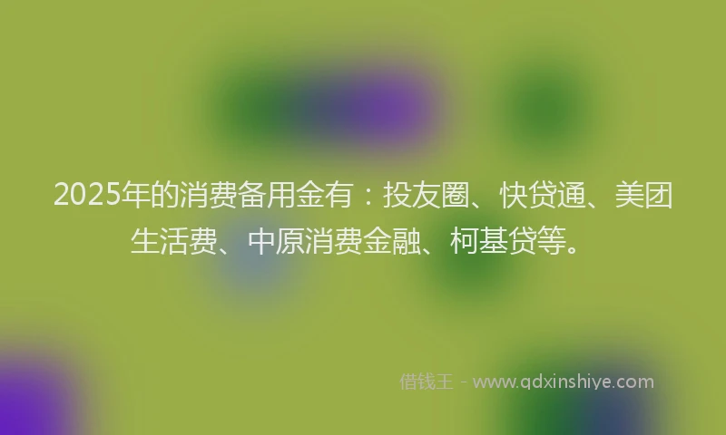 2025年的消费备用金有：投友圈、快贷通、美团生活费、中原消费金融、柯基贷等。