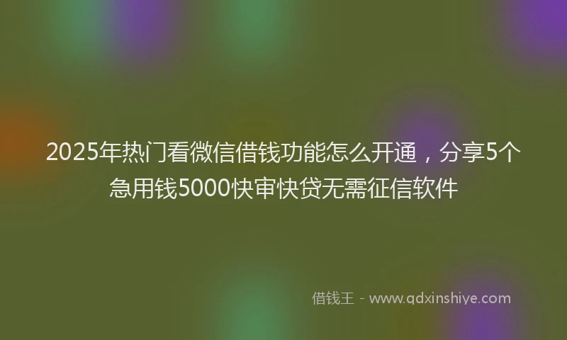 2025年热门看微信借钱功能怎么开通，分享5个急用钱5000快审快贷无需征信软件
