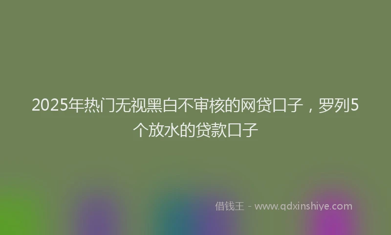 2025年热门无视黑白不审核的网贷口子，罗列5个放水的贷款口子