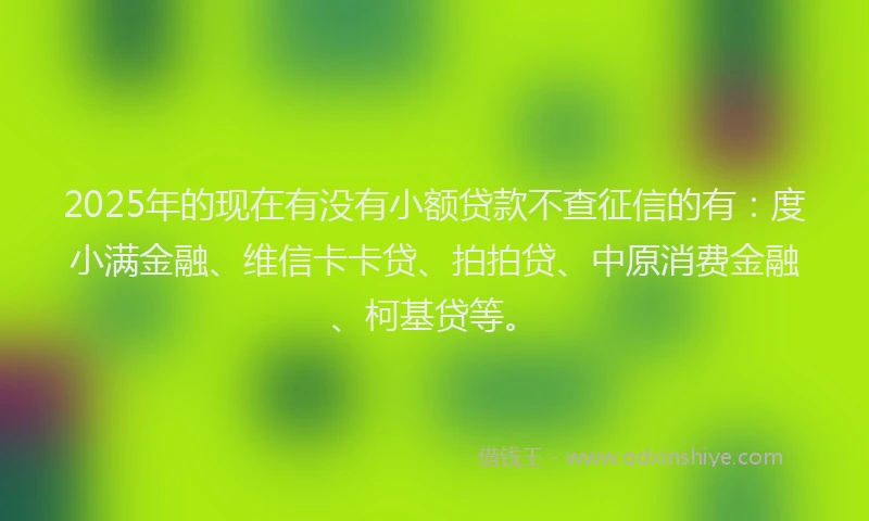 2025年的现在有没有小额贷款不查征信的有：度小满金融、维信卡卡贷、拍拍贷、中原消费金融、柯基贷等。