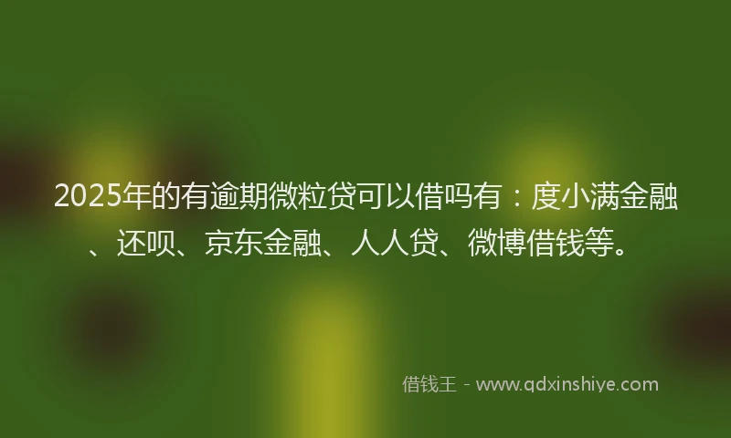 2025年的有逾期微粒贷可以借吗有：度小满金融、还呗、京东金融、人人贷、微博借钱等。