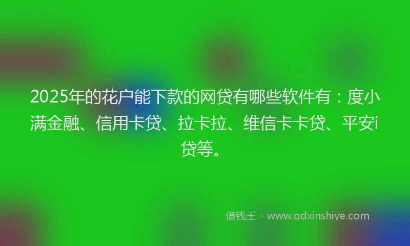 2025年的花户能下款的网贷有哪些软件有：度小满金融、信用卡贷、拉卡拉、维信卡卡贷、平安i贷等。