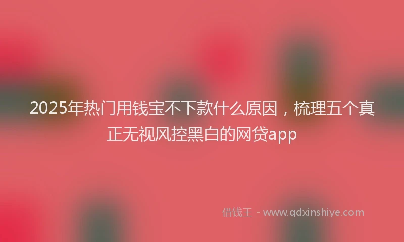 2025年热门用钱宝不下款什么原因，梳理五个真正无视风控黑白的网贷app