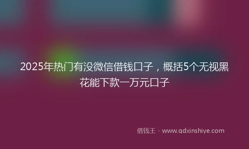 2025年热门有没微信借钱口子，概括5个无视黑花能下款一万元口子