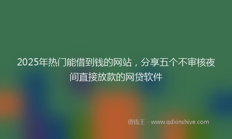 2025年热门能借到钱的网站，分享五个不审核夜间直接放款的网贷软件