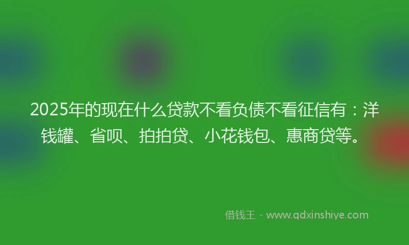 2025年的现在什么贷款不看负债不看征信有：洋钱罐、省呗、拍拍贷、小花钱包、惠商贷等。