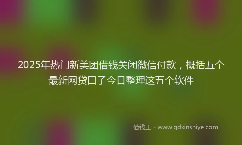 2025年热门新美团借钱关闭微信付款，概括五个最新网贷口子今日整理这五个软件