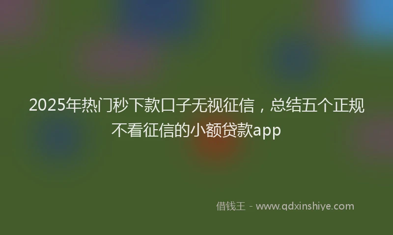 2025年热门秒下款口子无视征信，总结五个正规不看征信的小额贷款app