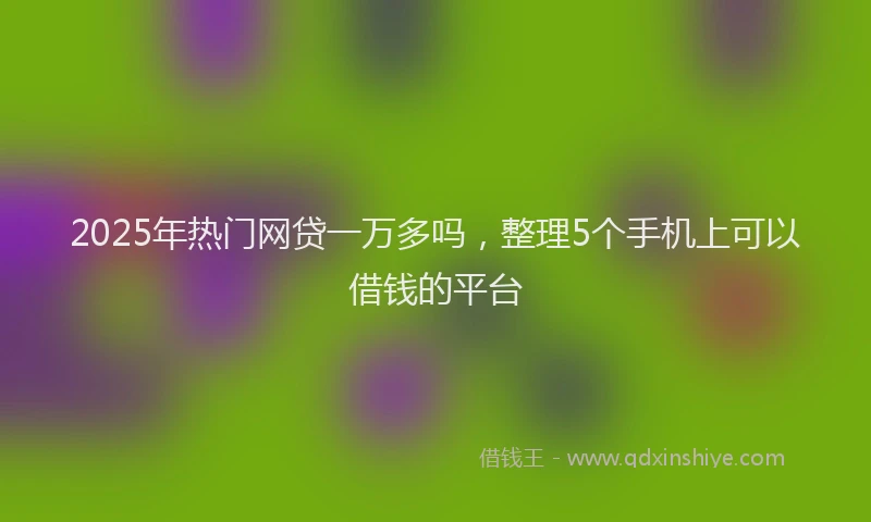 2025年热门网贷一万多吗，整理5个手机上可以借钱的平台