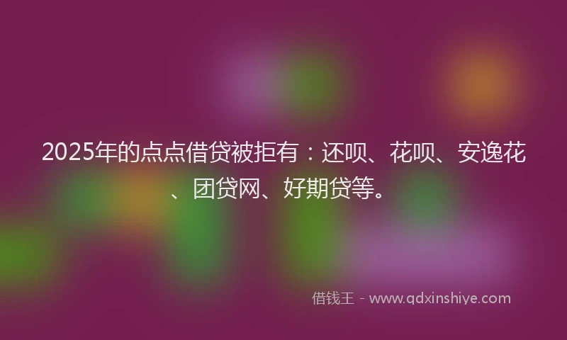 2025年的点点借贷被拒有：还呗、花呗、安逸花、团贷网、好期贷等。
