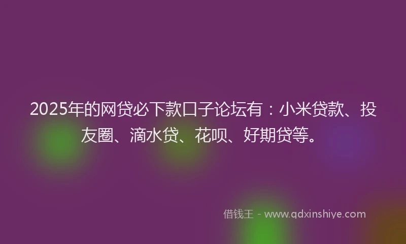 2025年的网贷必下款口子论坛有：小米贷款、投友圈、滴水贷、花呗、好期贷等。