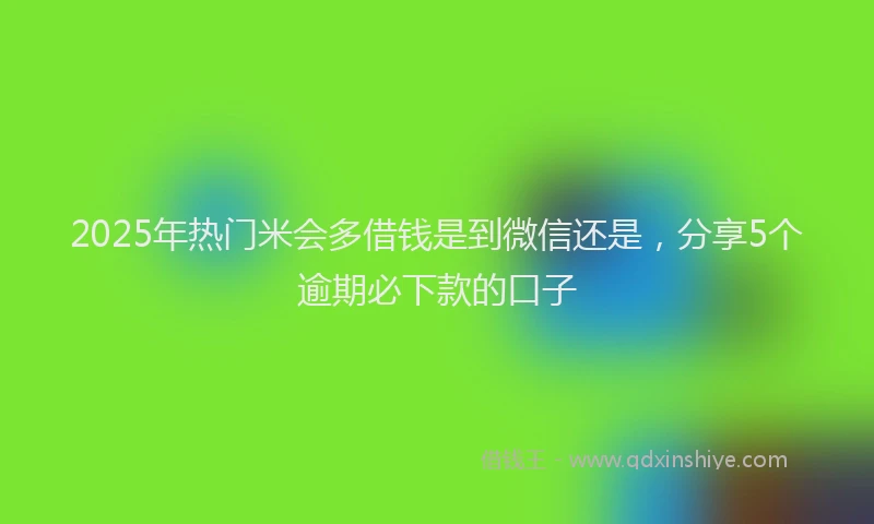 2025年热门米会多借钱是到微信还是，分享5个逾期必下款的口子