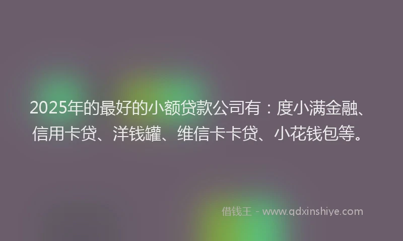 2025年的最好的小额贷款公司有：度小满金融、信用卡贷、洋钱罐、维信卡卡贷、小花钱包等。