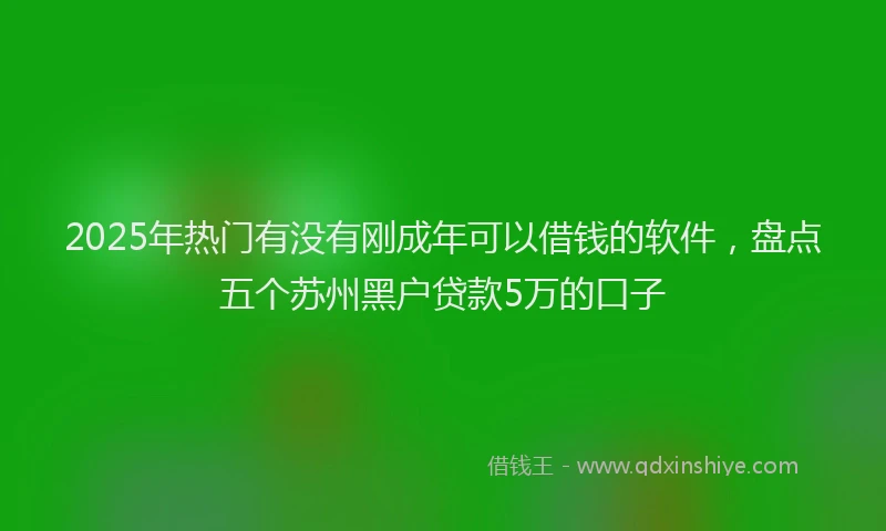 2025年热门有没有刚成年可以借钱的软件，盘点五个苏州黑户贷款5万的口子