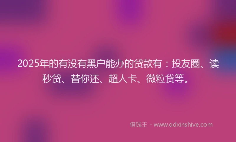 2025年的有没有黑户能办的贷款有：投友圈、读秒贷、替你还、超人卡、微粒贷等。