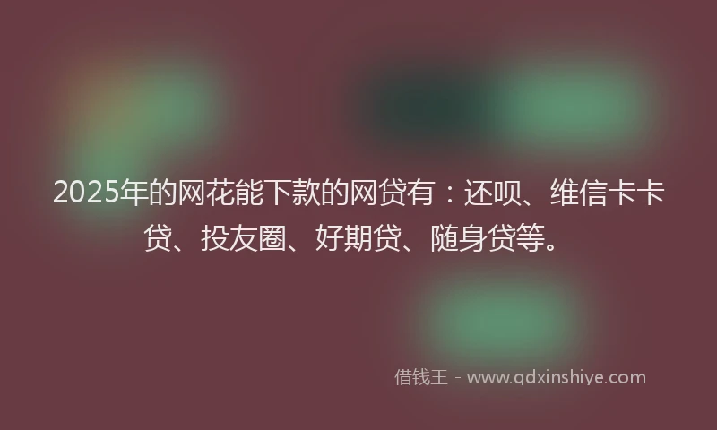 2025年的网花能下款的网贷有：还呗、维信卡卡贷、投友圈、好期贷、随身贷等。