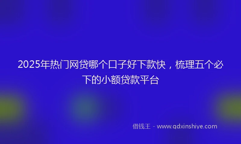 2025年热门网贷哪个口子好下款快，梳理五个必下的小额贷款平台