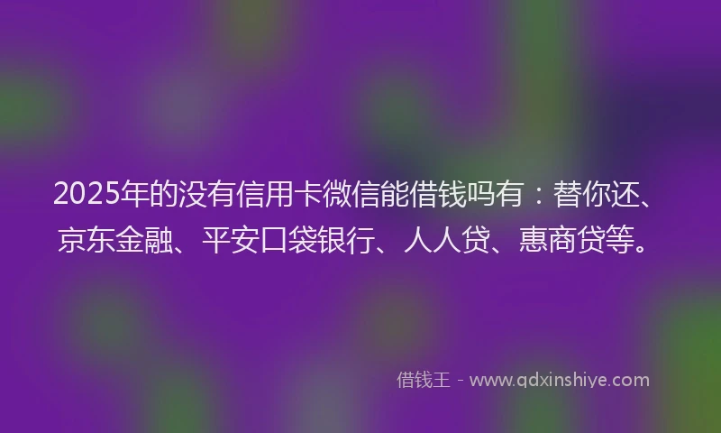 2025年的没有信用卡微信能借钱吗有：替你还、京东金融、平安口袋银行、人人贷、惠商贷等。