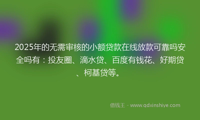 2025年的无需审核的小额贷款在线放款可靠吗安全吗有：投友圈、滴水贷、百度有钱花、好期贷、柯基贷等。