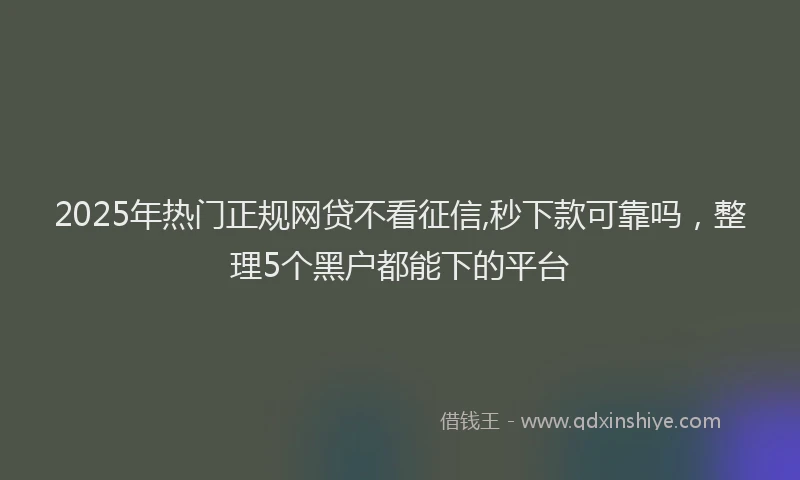 2025年热门正规网贷不看征信,秒下款可靠吗，整理5个黑户都能下的平台