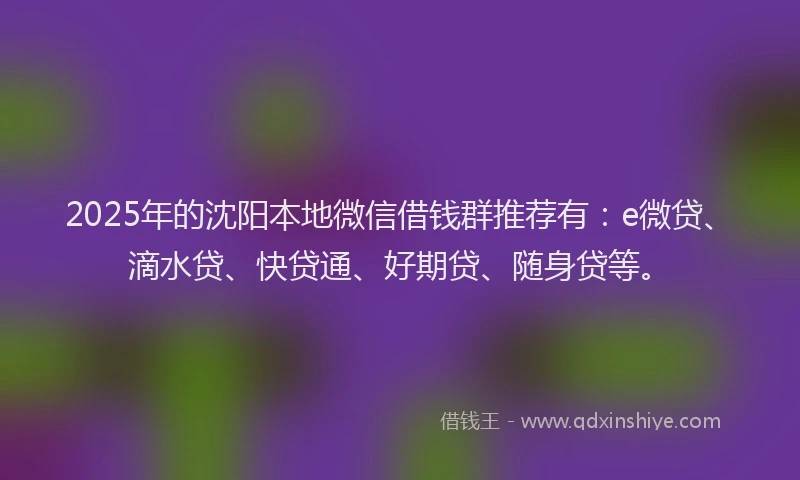 2025年的沈阳本地微信借钱群推荐有：e微贷、滴水贷、快贷通、好期贷、随身贷等。