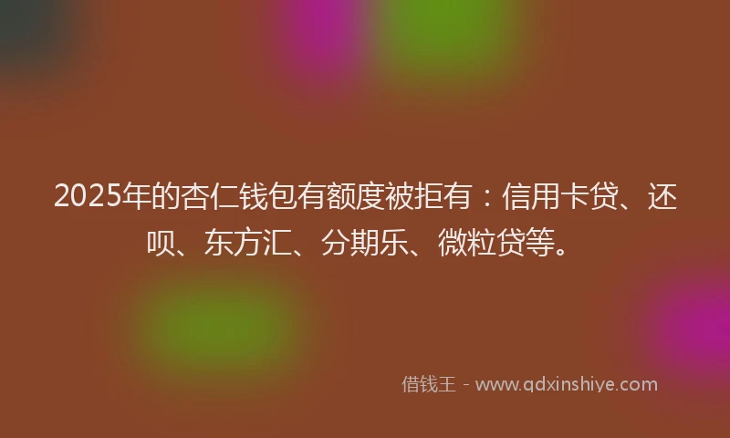 2025年的杏仁钱包有额度被拒有：信用卡贷、还呗、东方汇、分期乐、微粒贷等。
