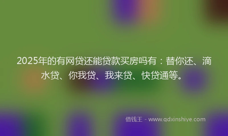 2025年的有网贷还能贷款买房吗有：替你还、滴水贷、你我贷、我来贷、快贷通等。