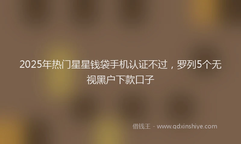 2025年热门星星钱袋手机认证不过，罗列5个无视黑户下款口子