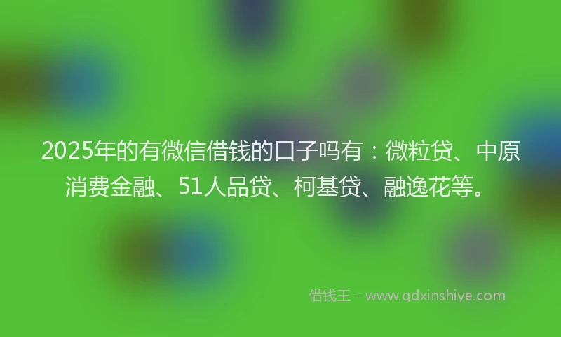 2025年的有微信借钱的口子吗有：微粒贷、中原消费金融、51人品贷、柯基贷、融逸花等。