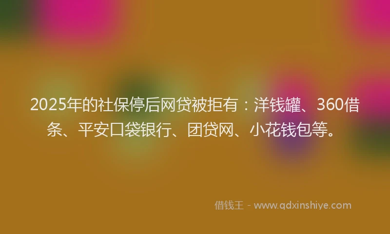 2025年的社保停后网贷被拒有：洋钱罐、360借条、平安口袋银行、团贷网、小花钱包等。