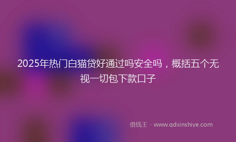 2025年热门白猫贷好通过吗安全吗，概括五个无视一切包下款口子