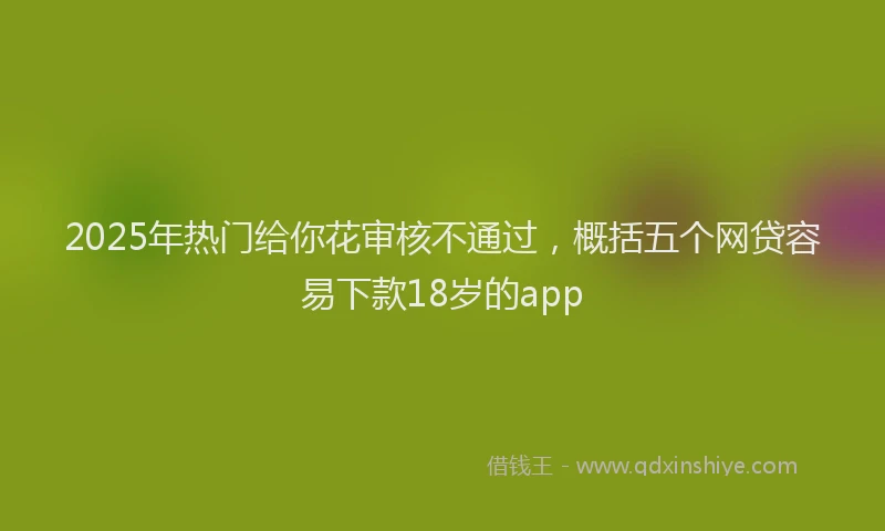2025年热门给你花审核不通过，概括五个网贷容易下款18岁的app
