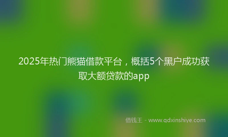 2025年热门熊猫借款平台，概括5个黑户成功获取大额贷款的app