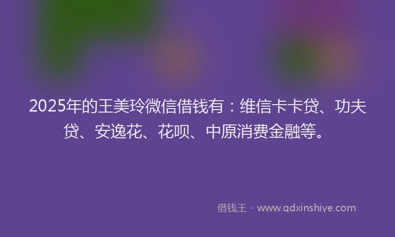 2025年的王美玲微信借钱有：维信卡卡贷、功夫贷、安逸花、花呗、中原消费金融等。