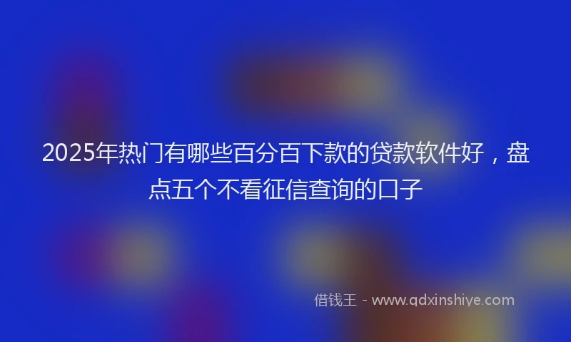 2025年热门有哪些百分百下款的贷款软件好，盘点五个不看征信查询的口子