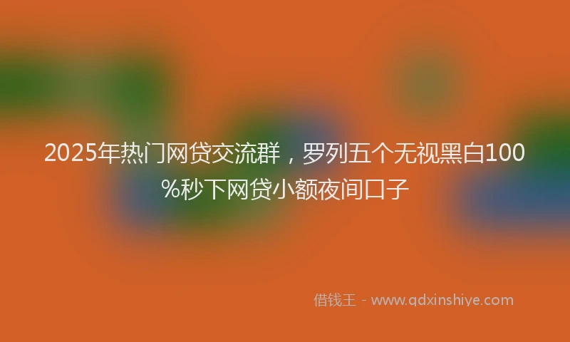 2025年热门网贷交流群，罗列五个无视黑白100%秒下网贷小额夜间口子
