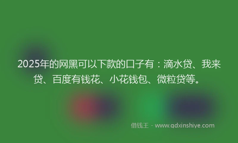 2025年的网黑可以下款的口子有：滴水贷、我来贷、百度有钱花、小花钱包、微粒贷等。