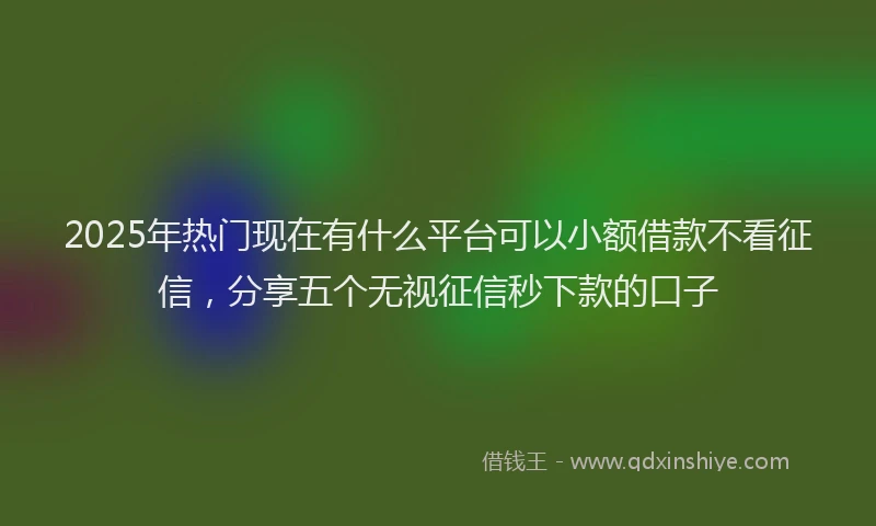 2025年热门现在有什么平台可以小额借款不看征信，分享五个无视征信秒下款的口子