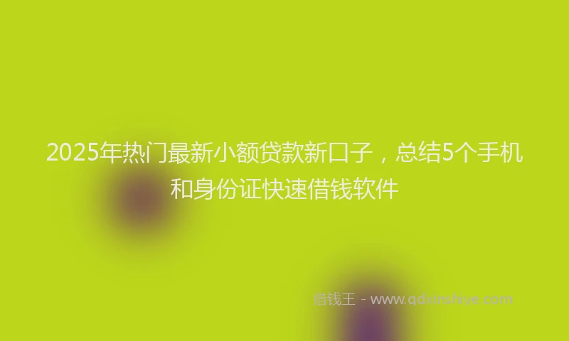 2025年热门最新小额贷款新口子，总结5个手机和身份证快速借钱软件