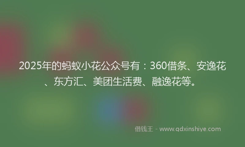 2025年的蚂蚁小花公众号有：360借条、安逸花、东方汇、美团生活费、融逸花等。