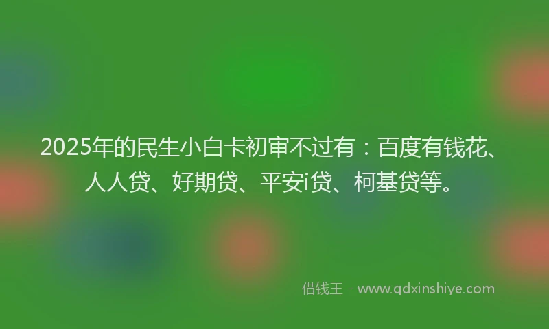 2025年的民生小白卡初审不过有：百度有钱花、人人贷、好期贷、平安i贷、柯基贷等。