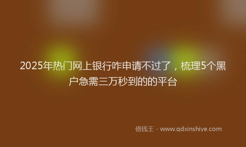 2025年热门网上银行咋申请不过了，梳理5个黑户急需三万秒到的的平台
