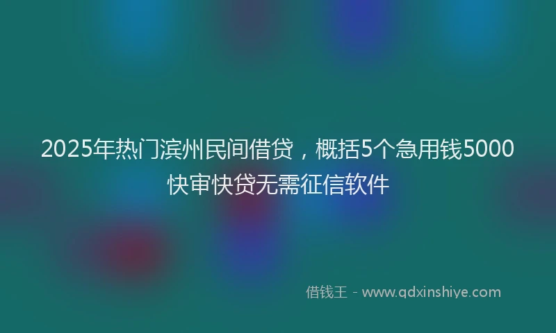 2025年热门滨州民间借贷，概括5个急用钱5000快审快贷无需征信软件