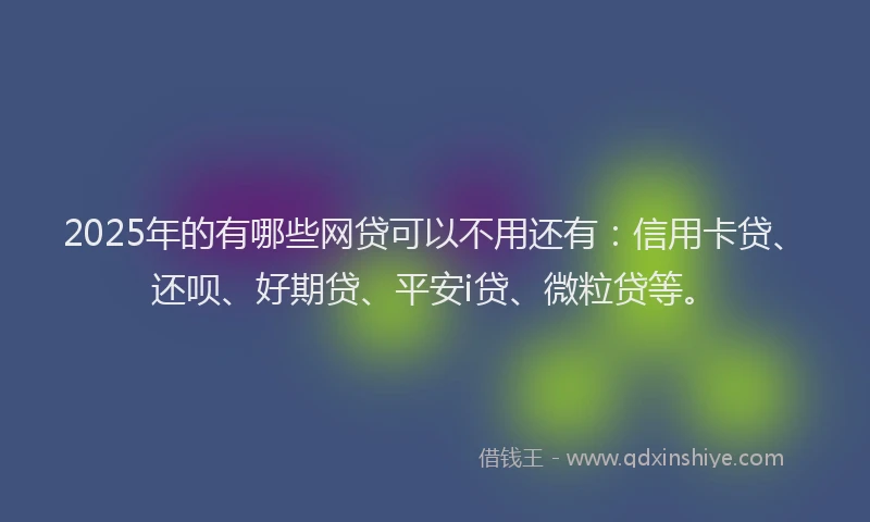 2025年的有哪些网贷可以不用还有：信用卡贷、还呗、好期贷、平安i贷、微粒贷等。