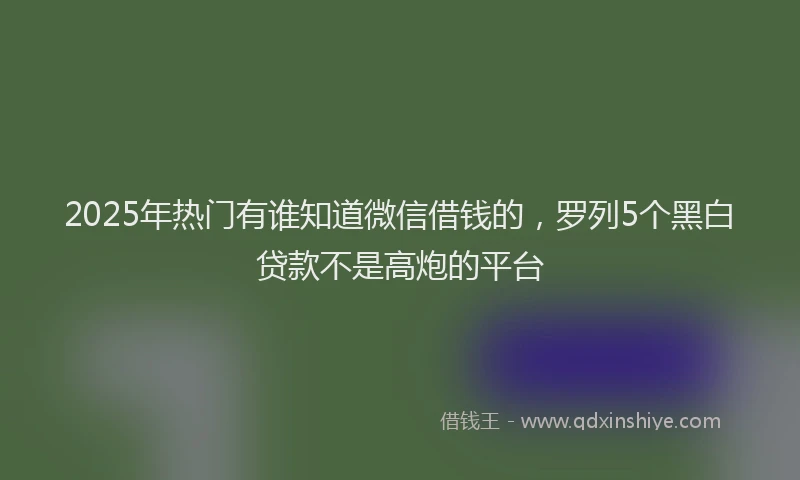 2025年热门有谁知道微信借钱的，罗列5个黑白贷款不是高炮的平台