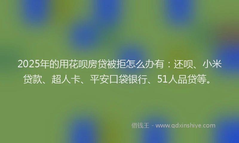 2025年的用花呗房贷被拒怎么办有：还呗、小米贷款、超人卡、平安口袋银行、51人品贷等。