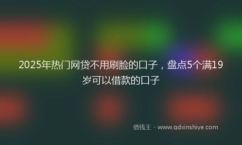2025年热门网贷不用刷脸的口子，盘点5个满19岁可以借款的口子