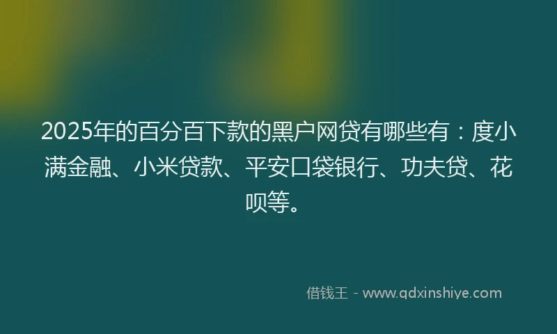 2025年的百分百下款的黑户网贷有哪些有：度小满金融、小米贷款、平安口袋银行、功夫贷、花呗等。