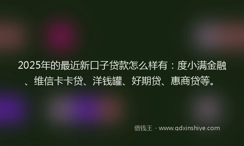 2025年的最近新口子贷款怎么样有：度小满金融、维信卡卡贷、洋钱罐、好期贷、惠商贷等。